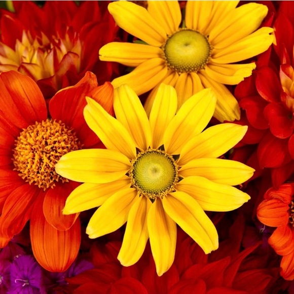 💚💙❤️💛🧡💚💙❤️💛🧡💚💙❤️💛🧡 - Picture 7 of 14